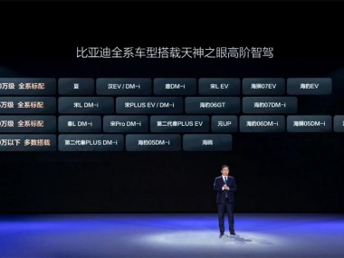 从集团到品牌，比亚迪稳坐1-2月销量冠军双宝座