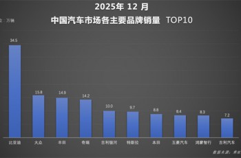 比亚迪2025年包揽多维度销冠，全球化再下一城